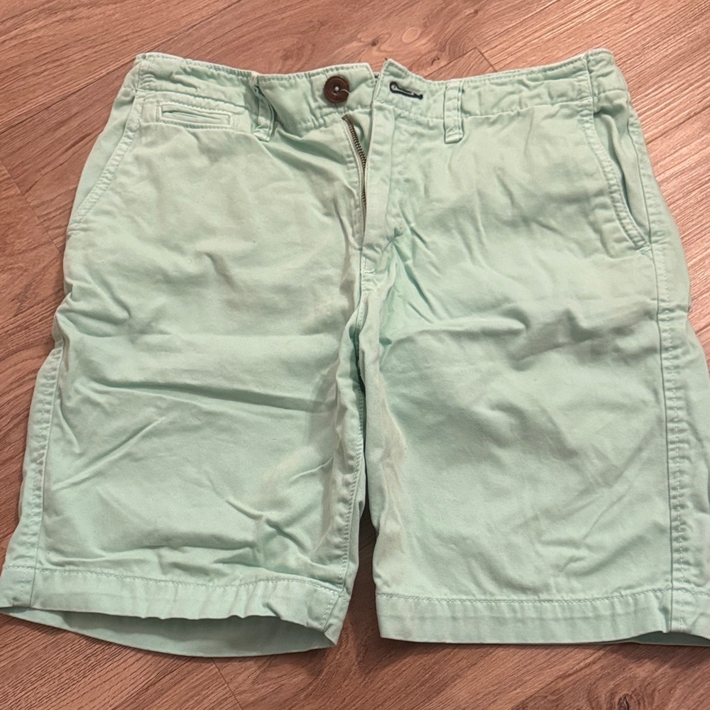 American Eagle Outfitters Mint Green Men's Flat Front Shorts